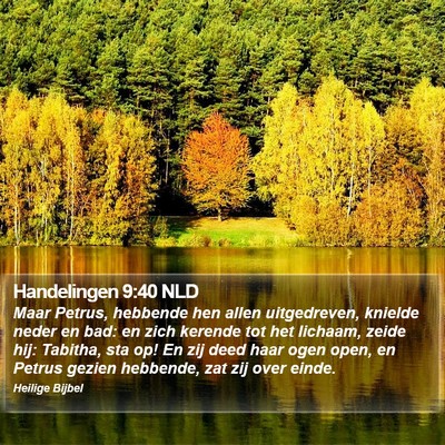 Handelingen 9:40 NLD Bible Verse Image