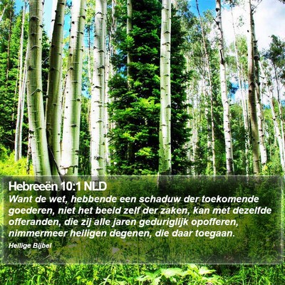 Hebreeën 10:1 NLD Bible Verse Image