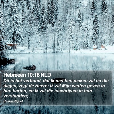 Hebreeën 10:16 NLD Bible Verse Image