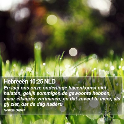 Hebreeën 10:25 NLD Bible Verse Image
