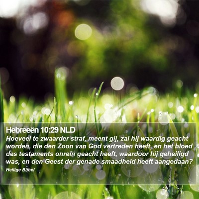 Hebreeën 10:29 NLD Bible Verse Image