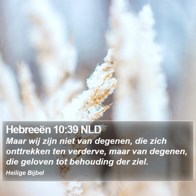 Hebreeën 10:39 NLD Bible Verse Image