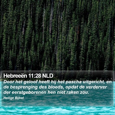 Hebreeën 11:28 NLD Bible Verse Image