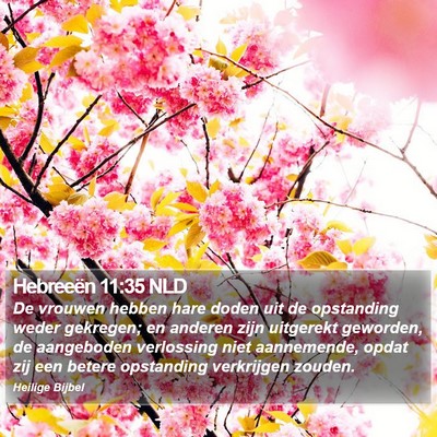 Hebreeën 11:35 NLD Bible Verse Image