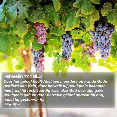 Hebreeën 11:4 NLD Bible Verse Image