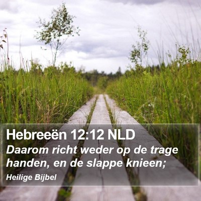 Hebreeën 12:12 NLD Bible Verse Image