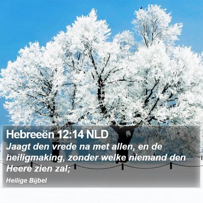 Hebreeën 12:14 NLD Bible Verse Image
