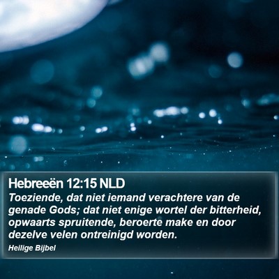 Hebreeën 12:15 NLD Bible Verse Image