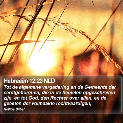Hebreeën 12:23 NLD Bible Verse Image