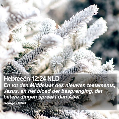 Hebreeën 12:24 NLD Bible Verse Image