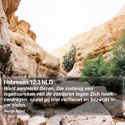 Hebreeën 12:3 NLD Bible Verse Image