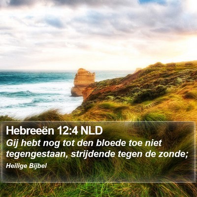 Hebreeën 12:4 NLD Bible Verse Image