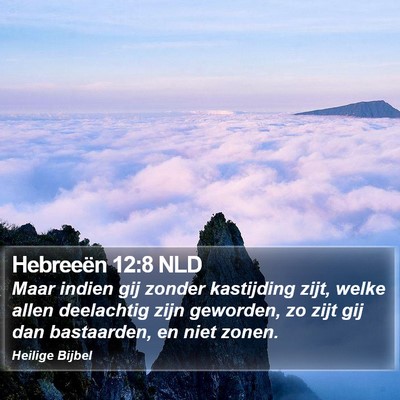 Hebreeën 12:8 NLD Bible Verse Image
