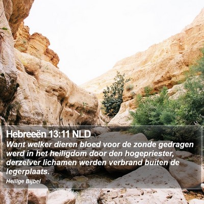 Hebreeën 13:11 NLD Bible Verse Image