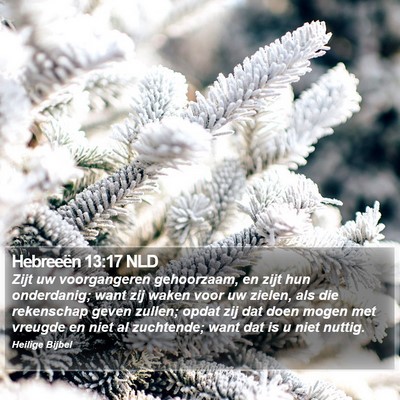 Hebreeën 13:17 NLD Bible Verse Image