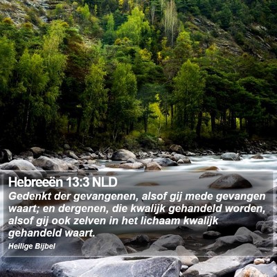 Hebreeën 13:3 NLD Bible Verse Image
