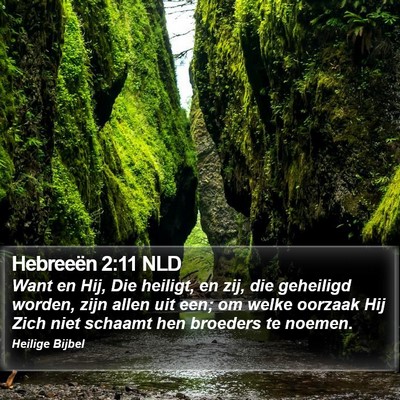 Hebreeën 2:11 NLD Bible Verse Image
