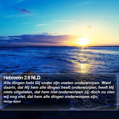 Hebreeën 2:8 NLD Bible Verse Image