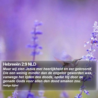 Hebreeën 2:9 NLD Bible Verse Image