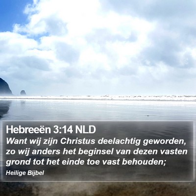 Hebreeën 3:14 NLD Bible Verse Image