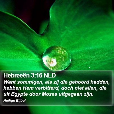 Hebreeën 3:16 NLD Bible Verse Image
