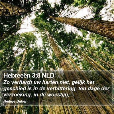 Hebreeën 3:8 NLD Bible Verse Image