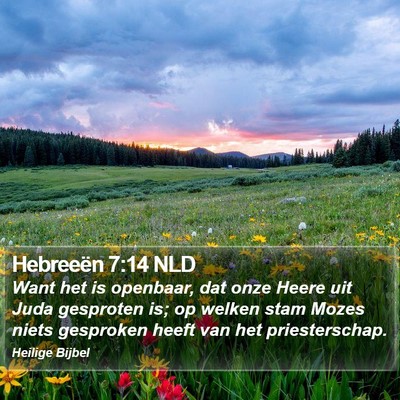Hebreeën 7:14 NLD Bible Verse Image