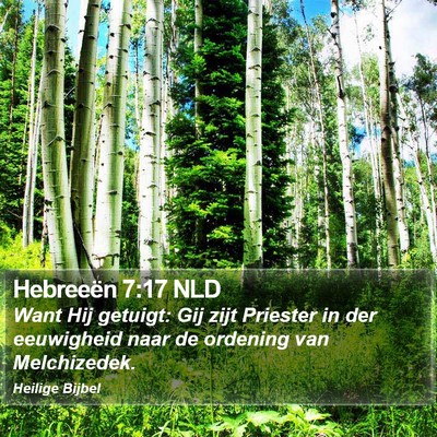 Hebreeën 7:17 NLD Bible Verse Image