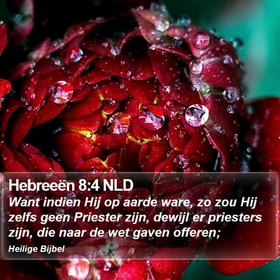 Hebreeën 8:4 NLD Bible Verse Image