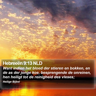 Hebreeën 9:13 NLD Bible Verse Image