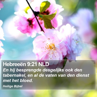 Hebreeën 9:21 NLD Bible Verse Image