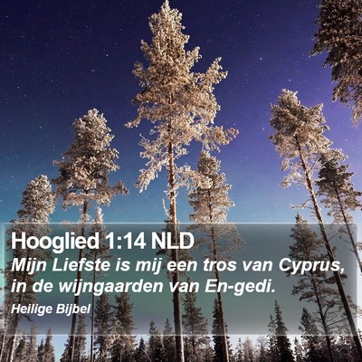 Hooglied 1:14 NLD Bible Verse Image