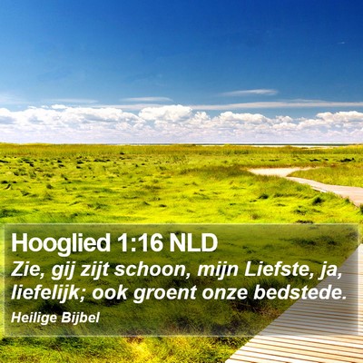 Hooglied 1:16 NLD Bible Verse Image