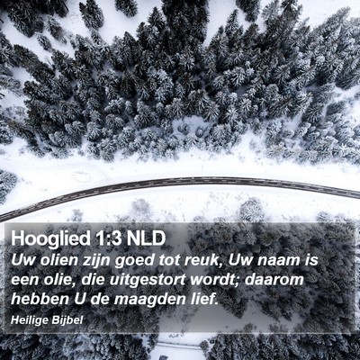 Hooglied 1:3 NLD Bible Verse Image