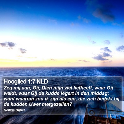 Hooglied 1:7 NLD Bible Verse Image