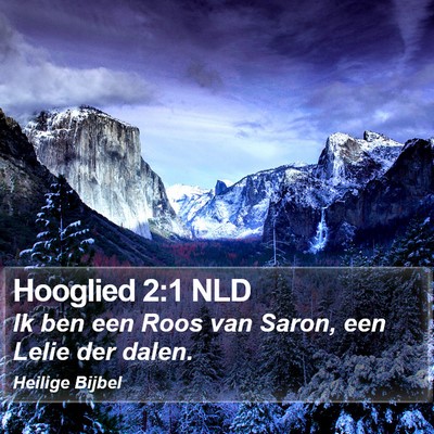 Hooglied 2:1 NLD Bible Verse Image