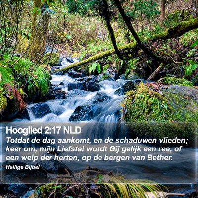 Hooglied 2:17 NLD Bible Verse Image