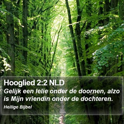 Hooglied 2:2 NLD Bible Verse Image