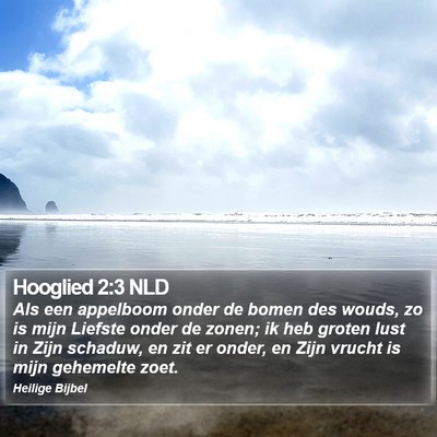 Hooglied 2:3 NLD Bible Verse Image