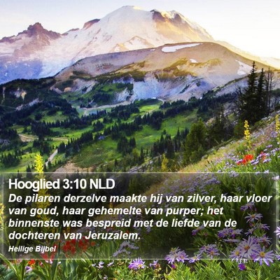 Hooglied 3:10 NLD Bible Verse Image
