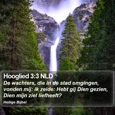 Hooglied 3:3 NLD Bible Verse Image