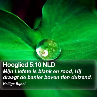 Hooglied 5:10 NLD Bible Verse Image