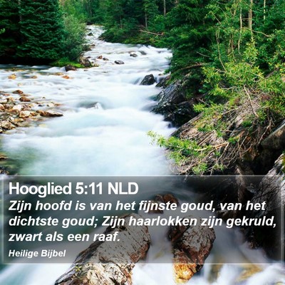 Hooglied 5:11 NLD Bible Verse Image