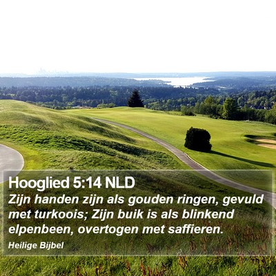 Hooglied 5:14 NLD Bible Verse Image