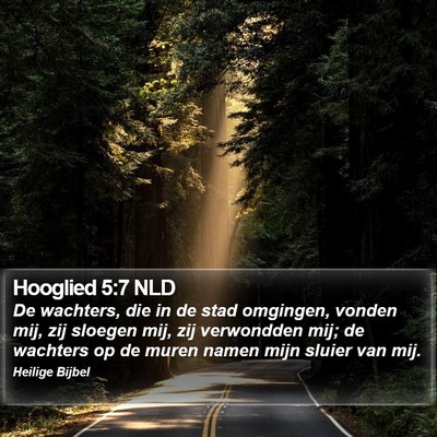 Hooglied 5:7 NLD Bible Verse Image