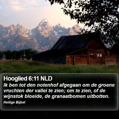 Hooglied 6:11 NLD Bible Verse Image