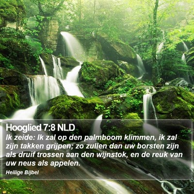 Hooglied 7:8 NLD Bible Verse Image