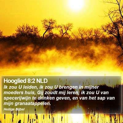 Hooglied 8:2 NLD Bible Verse Image
