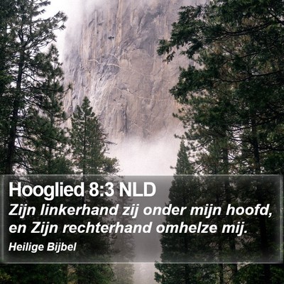 Hooglied 8:3 NLD Bible Verse Image