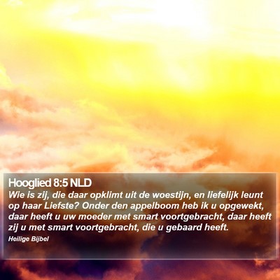 Hooglied 8:5 NLD Bible Verse Image